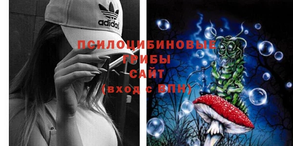 таблы Дмитров