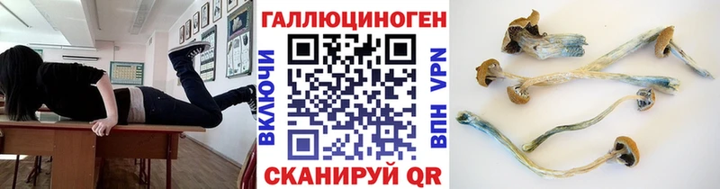блэк спрут зеркало  Ахтубинск  Галлюциногенные грибы MAGIC MUSHROOMS 